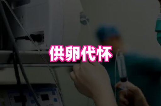 123试管孕网 3