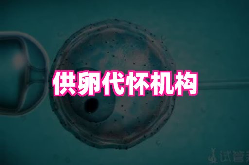 123试管孕网 4